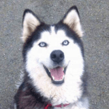 Ishka avatar