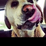 Benji avatar