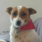 Maggie avatar