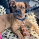 Louie avatar