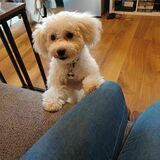 Toby avatar