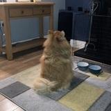 Cooper  avatar
