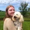 Claire: Dublin-based dog sitter