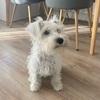 Aileen review