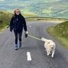 Ruth : Experienced dog minder!