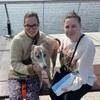 Polina: Dog Minding – A Home Away From Home!