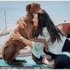 Sophie : A Loving Home for your pet - Dog Sitter/Walker available 