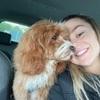 Georgia : WFH couple with a friendly cavapoo - daily walks & lots of company 💛