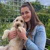 Rachel: Rachel 🐶