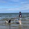David: Dawgs & Company