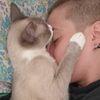 Vi: Pet's lover