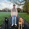 Luca: Excited to take care of any and all dogs!