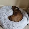 Ailish's review