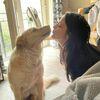 Sonia: Dog sitter in Cork