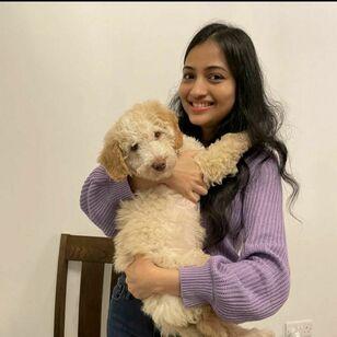 Mansi avatar