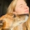 Maleen: Wexford’s Dog Family: a beautiful home for your loved ones.