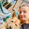 Cathy: Dog Sitter/ Walker 