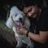 Meyling: Dogs deserve all the best of this world