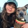 Gabriella: Experienced foster and dog owner looking to dogsit in city center!