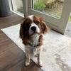 Aoife's review