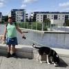 Jojo: Jojo’s Ballyfermot Dog Haven: Every Walk is an Adventure!