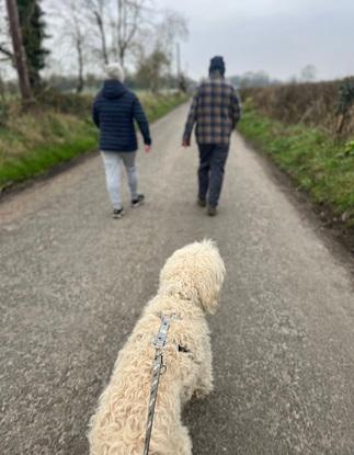 Out for walks at home in Tipperary