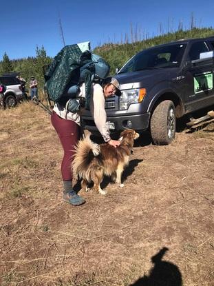 I pet every dog I can because I love them