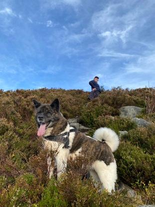 Me proudly watching my pup exploring