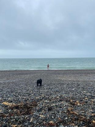 Cleo and ball down on the beach