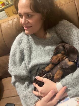 Daisy, tha adorable dachshund puppy