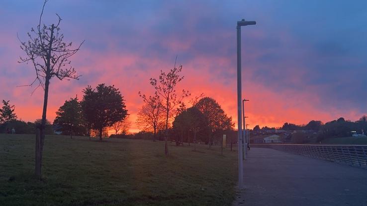 Drogheda Park