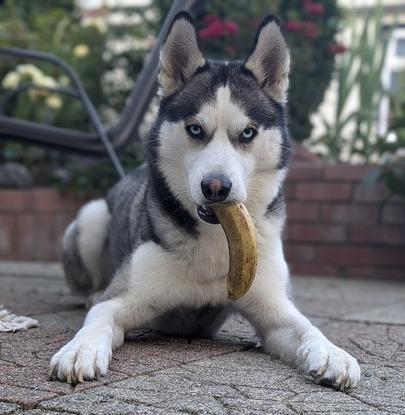 Zero with a banana