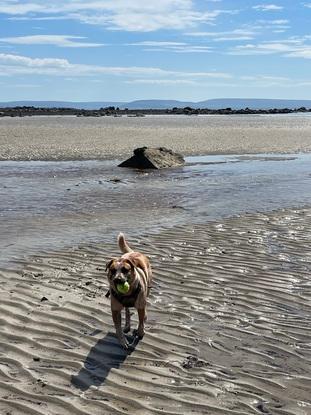 Salthill