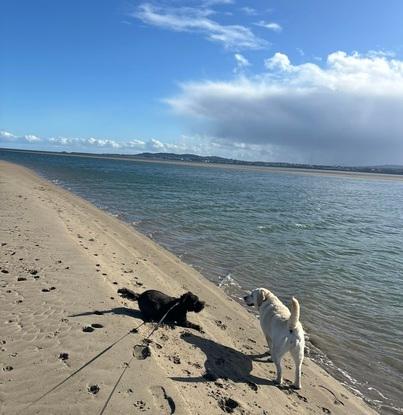 Beach day…