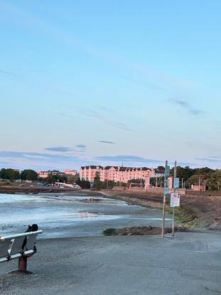 Local beach for walks!