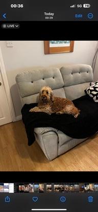 On the couch 