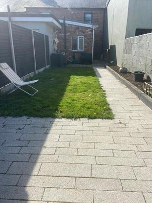 Outdoor secure garden for dogs to play