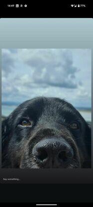 Beano on Howth hill