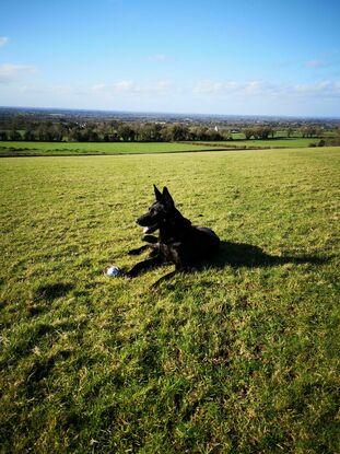 Hill of Tara
