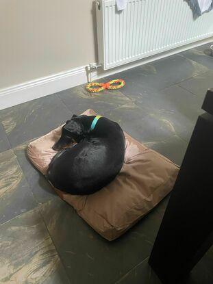 Watching me work