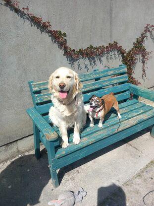 Holly and max