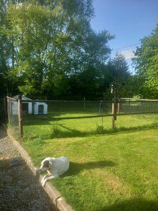 Outdoor space