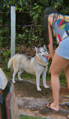 Laila always ready for adventure – strong, elegant, and independent!