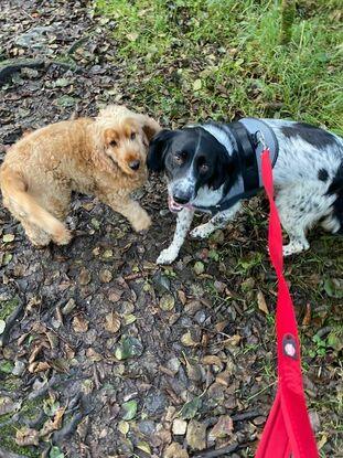 Max and our Cool Friend Ben