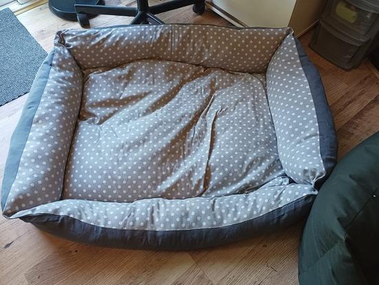 Medium Bed