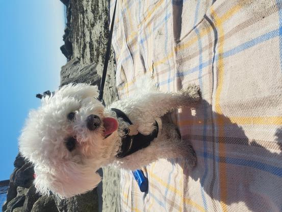 Beach time 