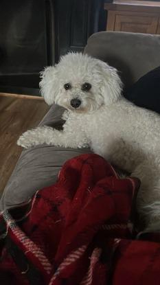 Lounging around 