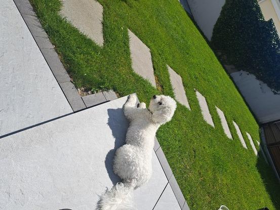 Sunbathing 
