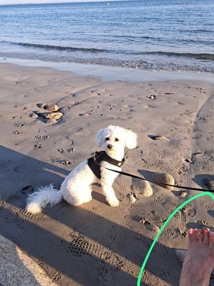 Beach walk 