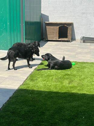 Luna, Copper & Riley